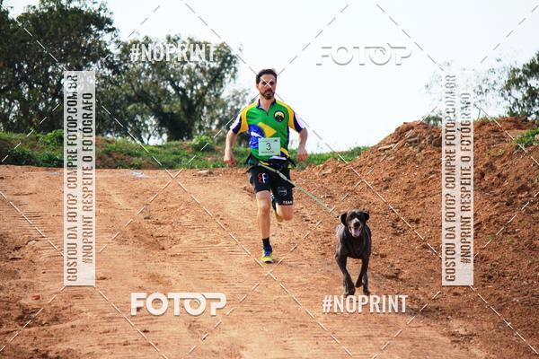 Achetez vos photos de l'vnementTreino Premiado de Canicross sur Fotop