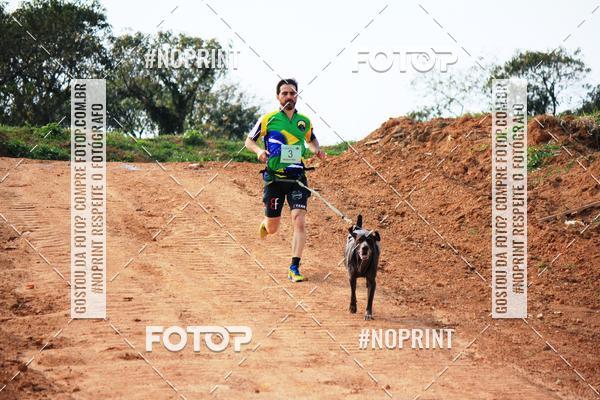 Achetez vos photos de l'vnementTreino Premiado de Canicross sur Fotop