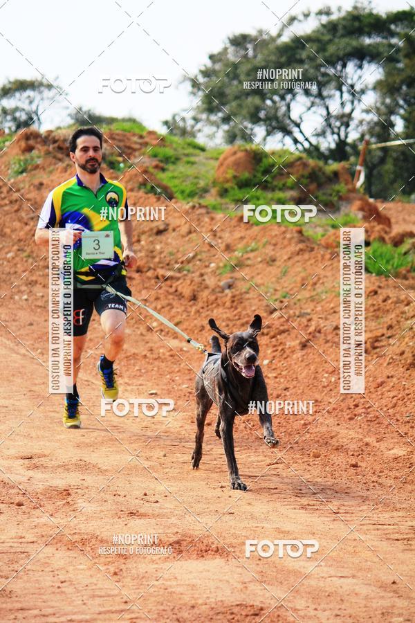 Achetez vos photos de l'vnementTreino Premiado de Canicross sur Fotop