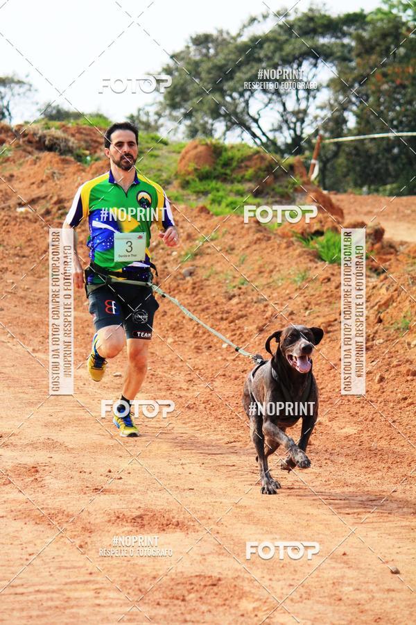 Achetez vos photos de l'vnementTreino Premiado de Canicross sur Fotop
