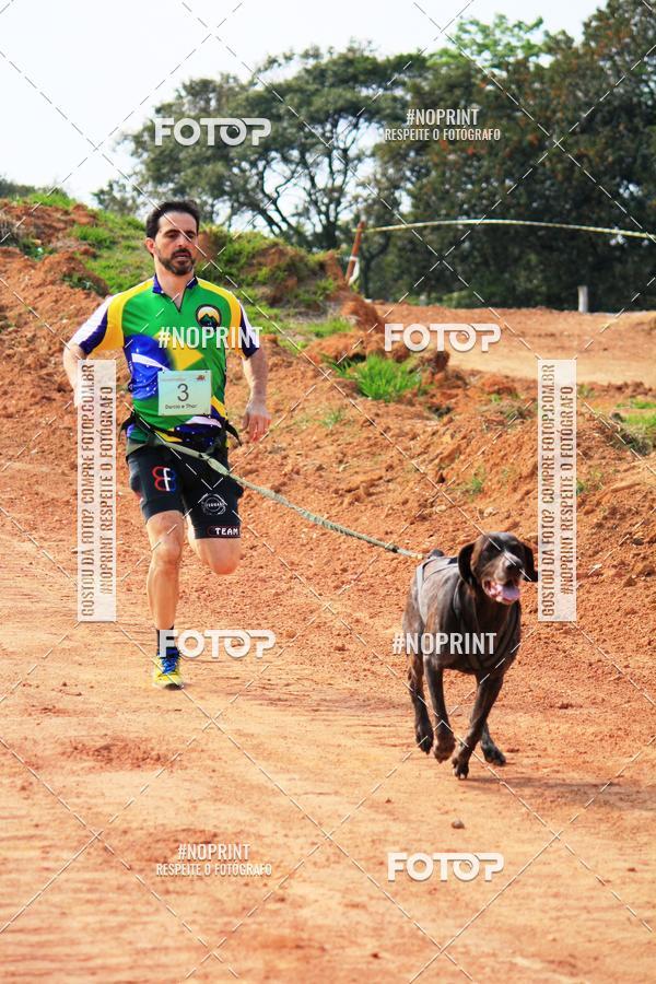 Achetez vos photos de l'vnementTreino Premiado de Canicross sur Fotop