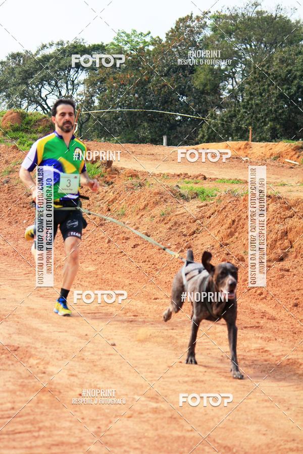 Achetez vos photos de l'vnementTreino Premiado de Canicross sur Fotop