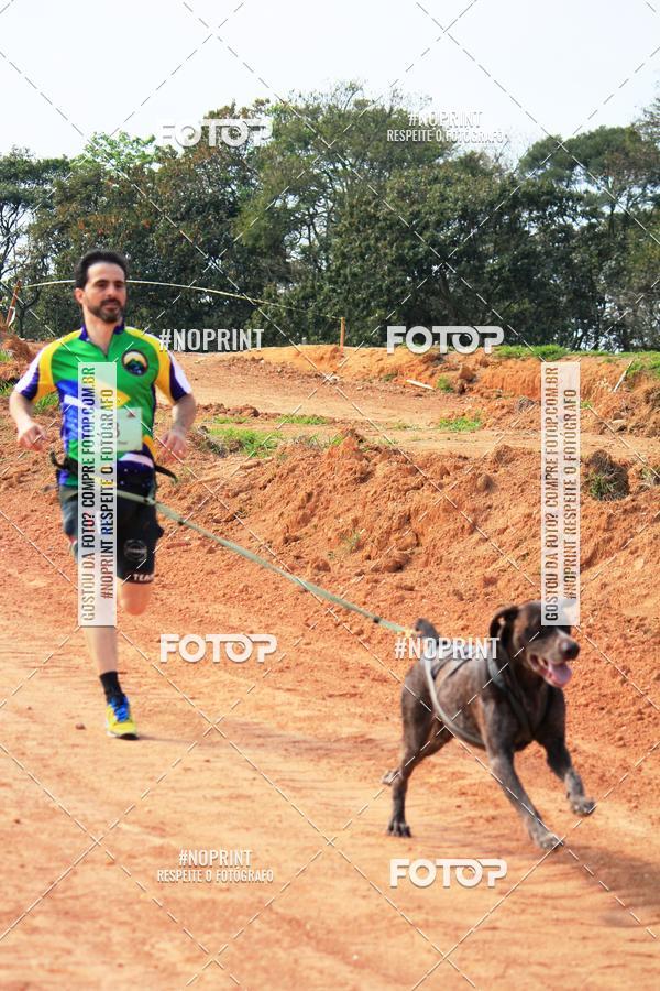 Achetez vos photos de l'vnementTreino Premiado de Canicross sur Fotop