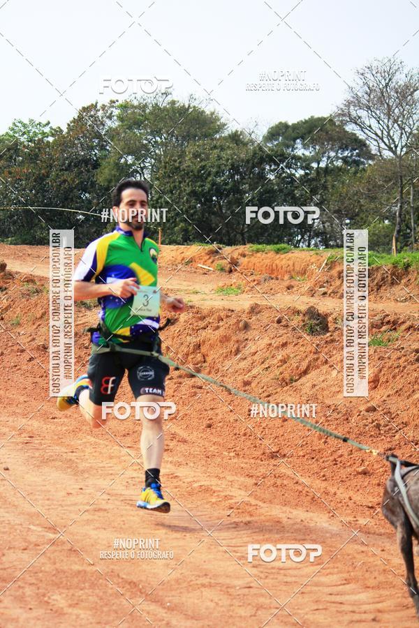 Achetez vos photos de l'vnementTreino Premiado de Canicross sur Fotop