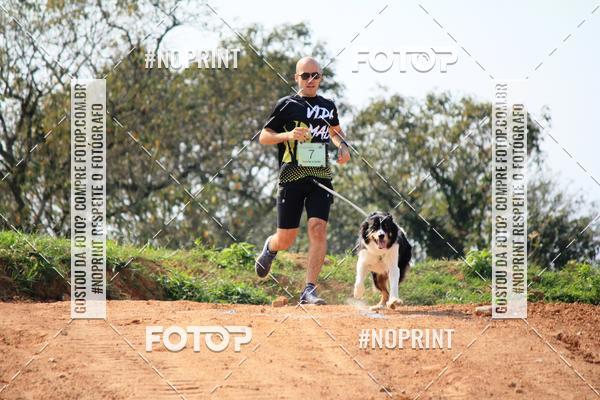 Achetez vos photos de l'vnementTreino Premiado de Canicross sur Fotop