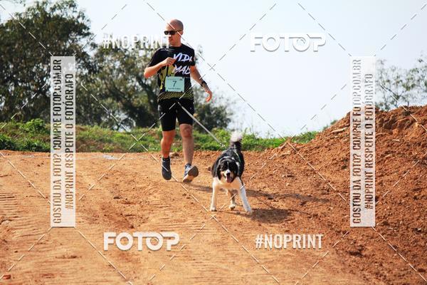 Achetez vos photos de l'vnementTreino Premiado de Canicross sur Fotop