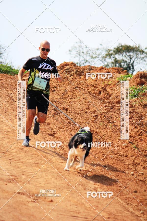 Achetez vos photos de l'vnementTreino Premiado de Canicross sur Fotop