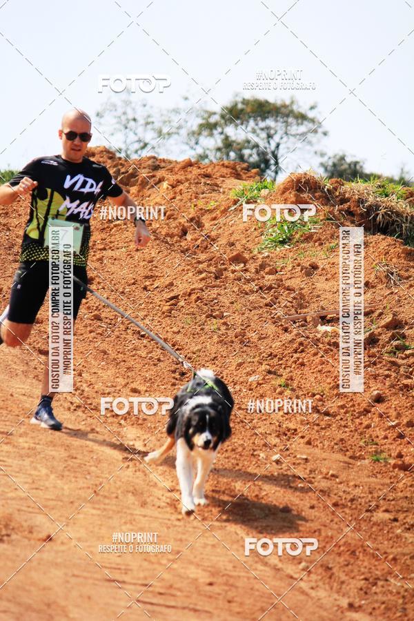 Achetez vos photos de l'vnementTreino Premiado de Canicross sur Fotop