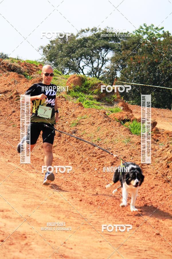 Achetez vos photos de l'vnementTreino Premiado de Canicross sur Fotop
