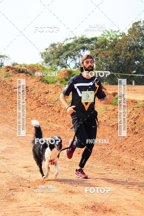 Compre suas fotos do eventoTreino Premiado de Canicross no Fotop