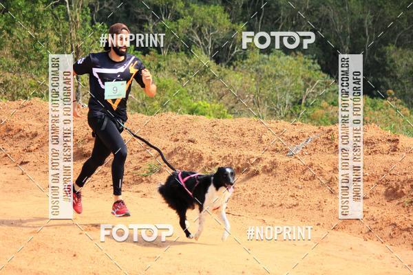 Compre suas fotos do eventoTreino Premiado de Canicross no Fotop
