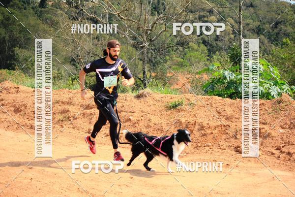 Compre suas fotos do eventoTreino Premiado de Canicross no Fotop