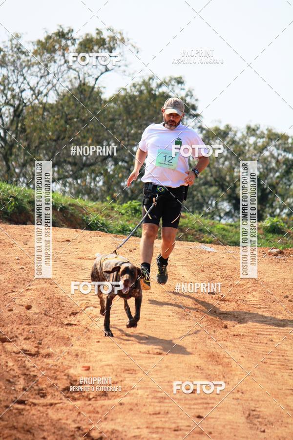 Compra tus fotos del eventoTreino Premiado de Canicross En Fotop