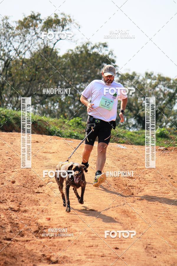 Compra tus fotos del eventoTreino Premiado de Canicross En Fotop