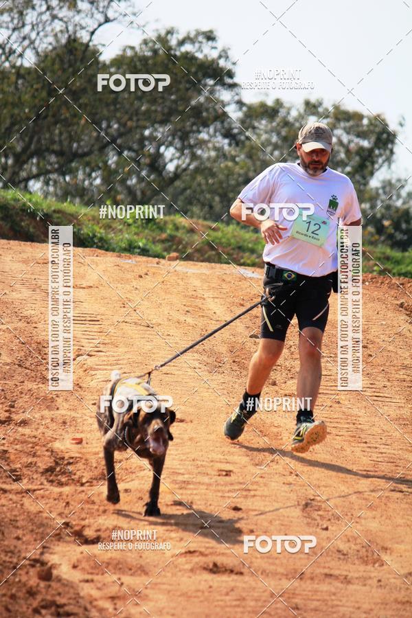 Compra tus fotos del eventoTreino Premiado de Canicross En Fotop