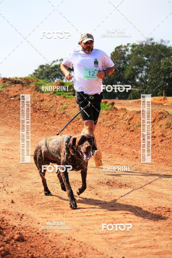 Compra tus fotos del eventoTreino Premiado de Canicross En Fotop