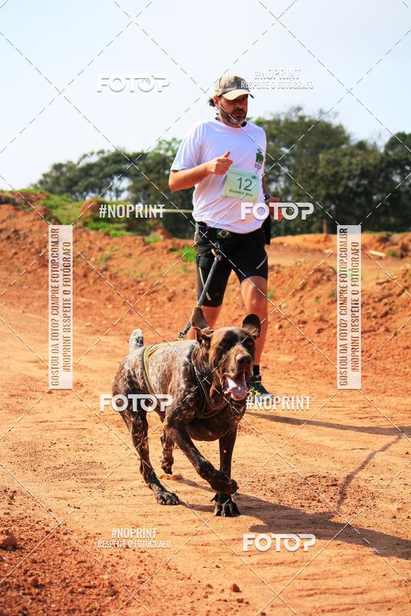 Compra tus fotos del eventoTreino Premiado de Canicross En Fotop