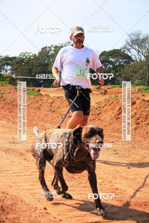 Compra tus fotos del eventoTreino Premiado de Canicross En Fotop