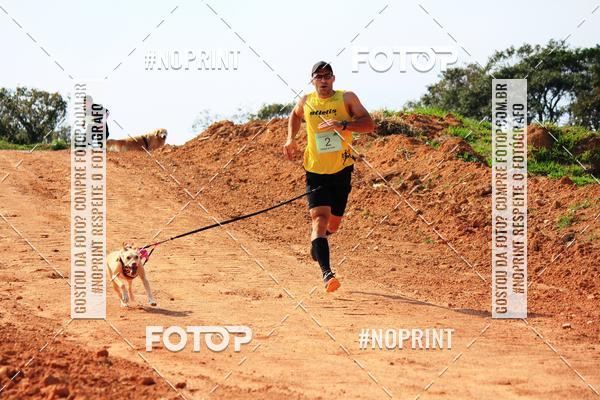 Compra tus fotos del eventoTreino Premiado de Canicross En Fotop