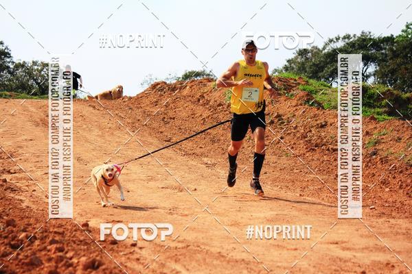 Compra tus fotos del eventoTreino Premiado de Canicross En Fotop