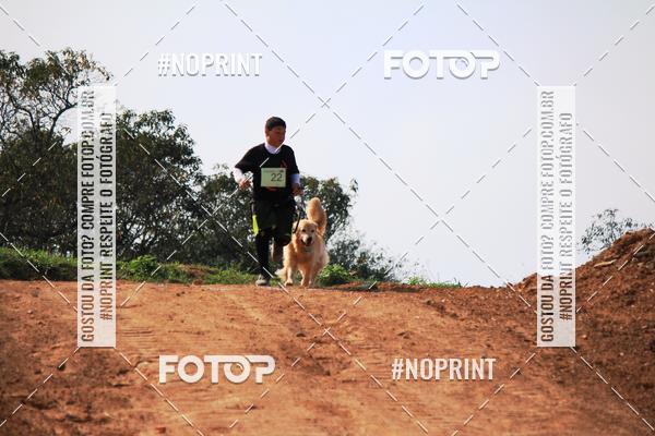 Compra tus fotos del eventoTreino Premiado de Canicross En Fotop