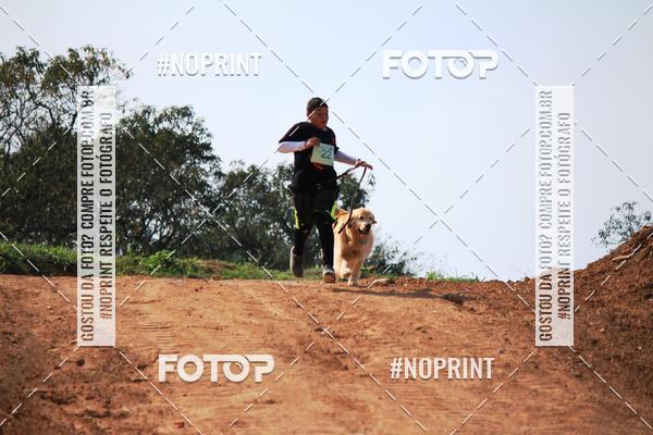 Compra tus fotos del eventoTreino Premiado de Canicross En Fotop