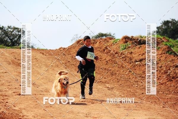 Compra tus fotos del eventoTreino Premiado de Canicross En Fotop