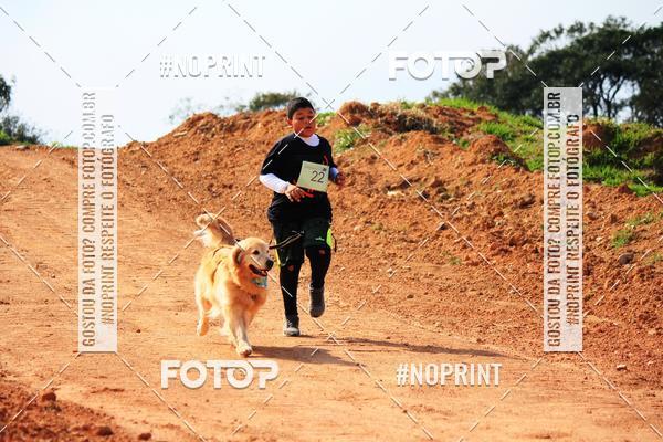 Compra tus fotos del eventoTreino Premiado de Canicross En Fotop