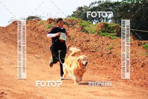 Compre as suas fotos do eventoTreino Premiado de Canicross no Fotop