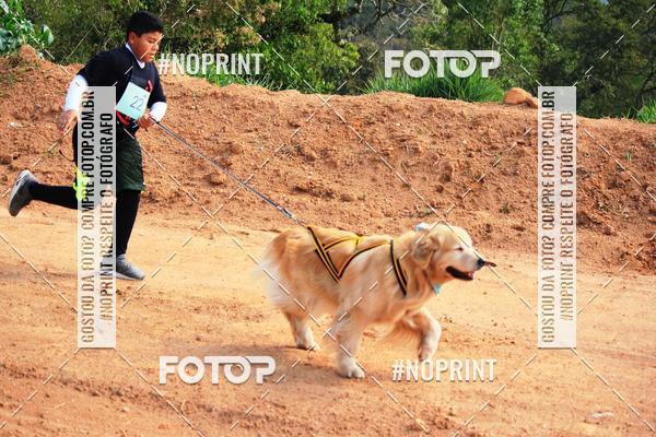 Compre as suas fotos do eventoTreino Premiado de Canicross no Fotop