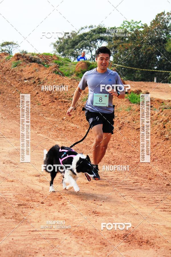 Compre as suas fotos do eventoTreino Premiado de Canicross no Fotop