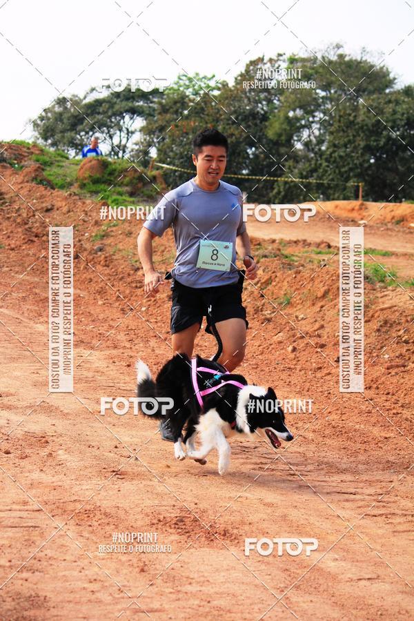 Compre as suas fotos do eventoTreino Premiado de Canicross no Fotop