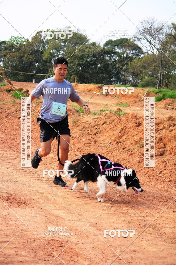 Compre as suas fotos do eventoTreino Premiado de Canicross no Fotop