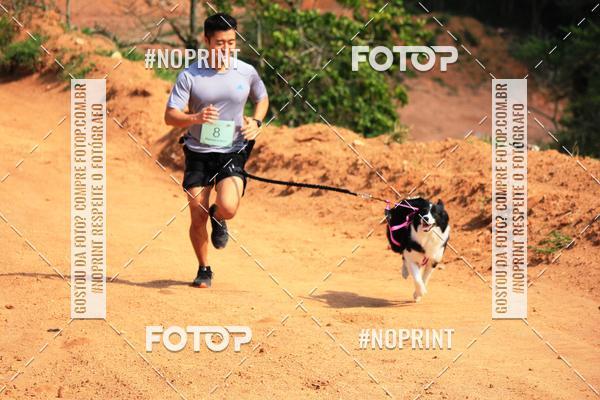 Compre as suas fotos do eventoTreino Premiado de Canicross no Fotop