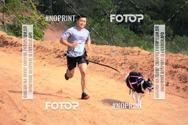 Compre as suas fotos do eventoTreino Premiado de Canicross no Fotop