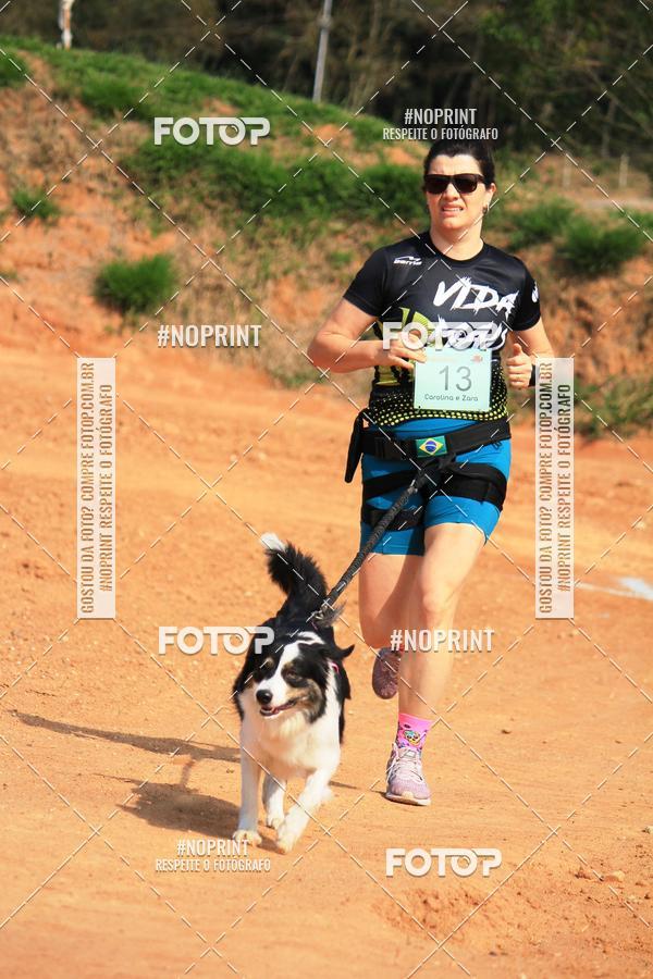Compre as suas fotos do eventoTreino Premiado de Canicross no Fotop