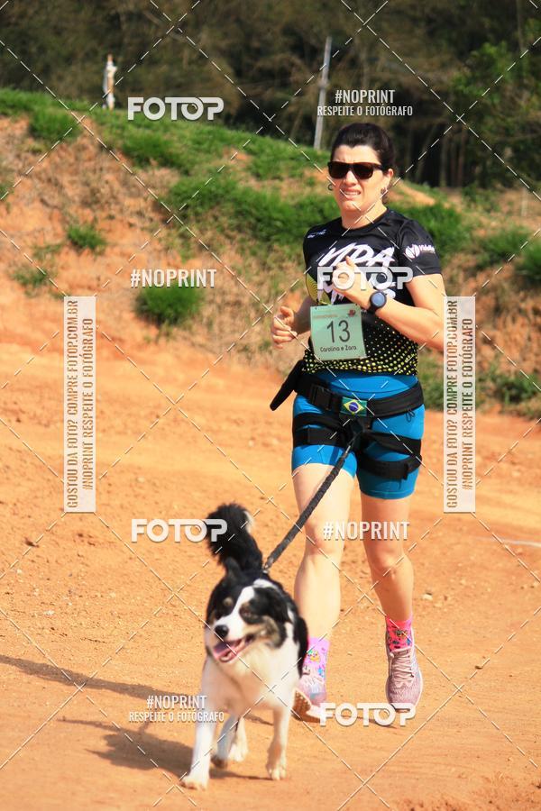 Compre as suas fotos do eventoTreino Premiado de Canicross no Fotop