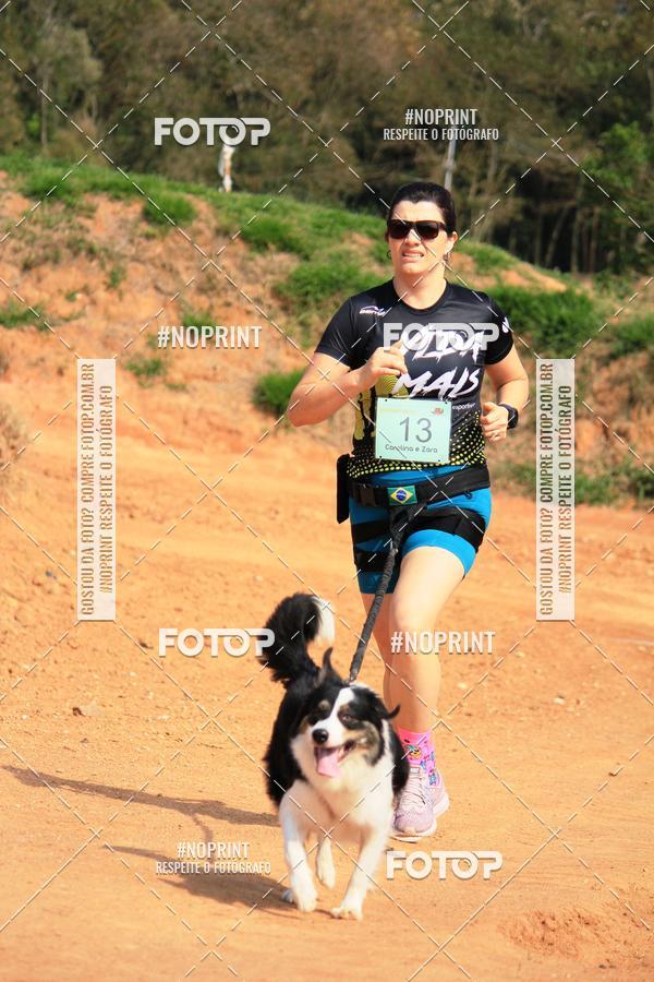 Compre as suas fotos do eventoTreino Premiado de Canicross no Fotop