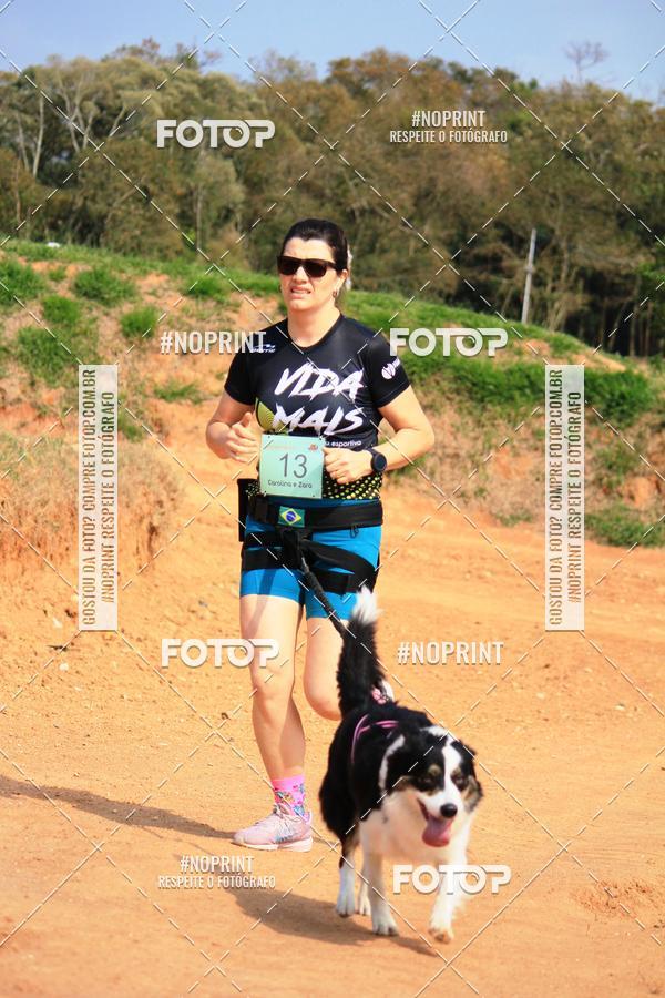 Compre as suas fotos do eventoTreino Premiado de Canicross no Fotop