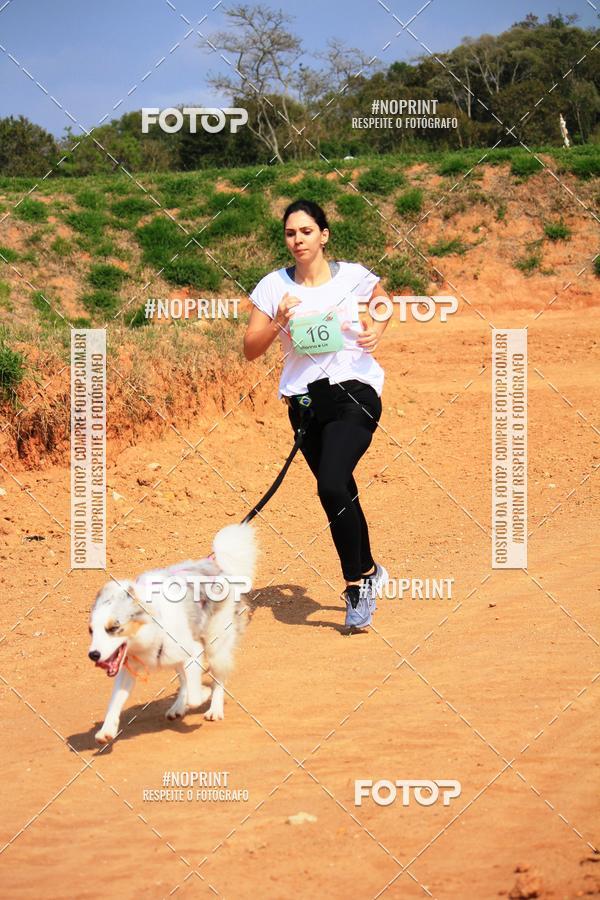 Compre as suas fotos do eventoTreino Premiado de Canicross no Fotop