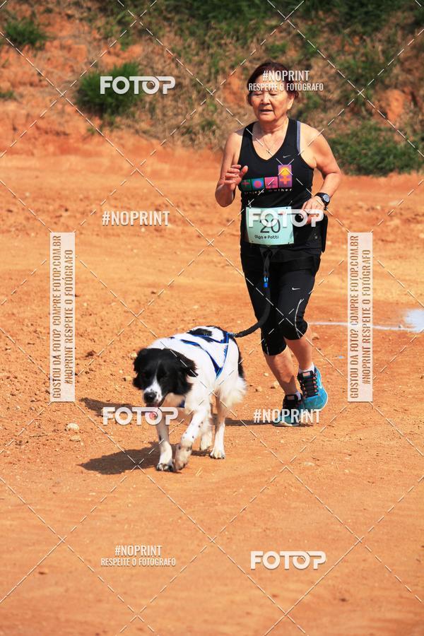 Compre as suas fotos do eventoTreino Premiado de Canicross no Fotop