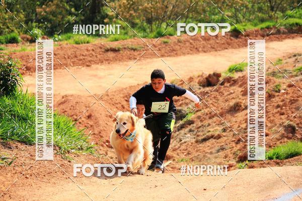 Compre as suas fotos do eventoTreino Premiado de Canicross no Fotop