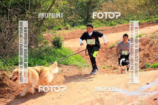 Compre as suas fotos do eventoTreino Premiado de Canicross no Fotop