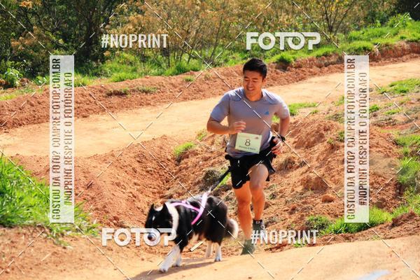 Compre as suas fotos do eventoTreino Premiado de Canicross no Fotop