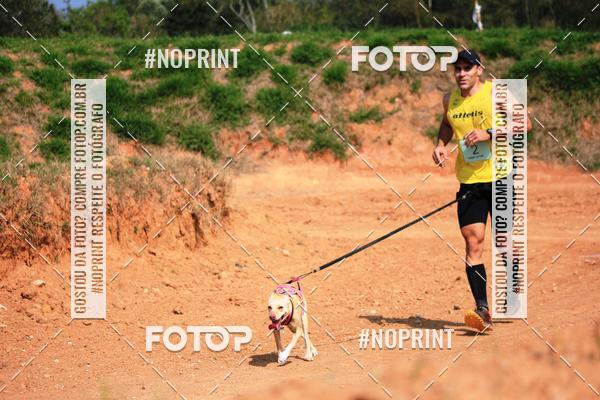 Acquista le foto dell'eventoTreino Premiado de Canicross in Fotop