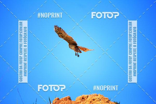 Acquista le foto dell'eventoTreino Premiado de Canicross in Fotop