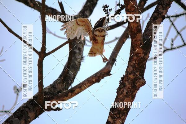 Acquista le foto dell'eventoTreino Premiado de Canicross in Fotop