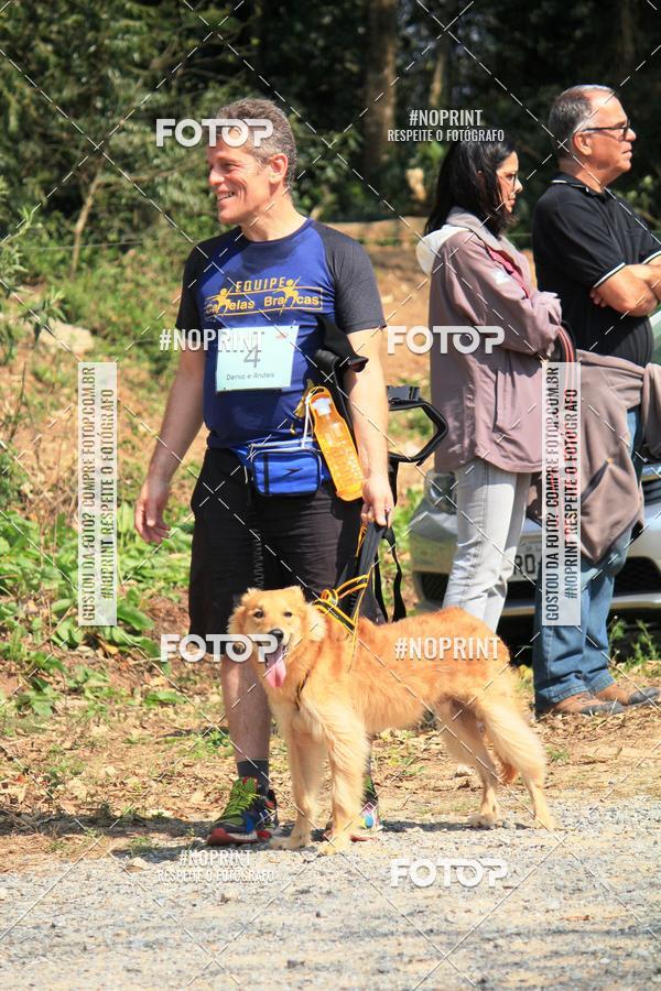 Acquista le foto dell'eventoTreino Premiado de Canicross in Fotop