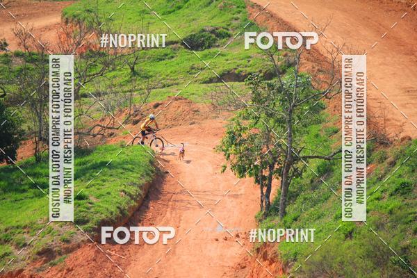 Acquista le foto dell'eventoTreino Premiado de Canicross in Fotop