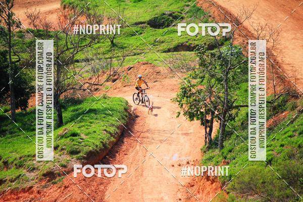 Acquista le foto dell'eventoTreino Premiado de Canicross in Fotop